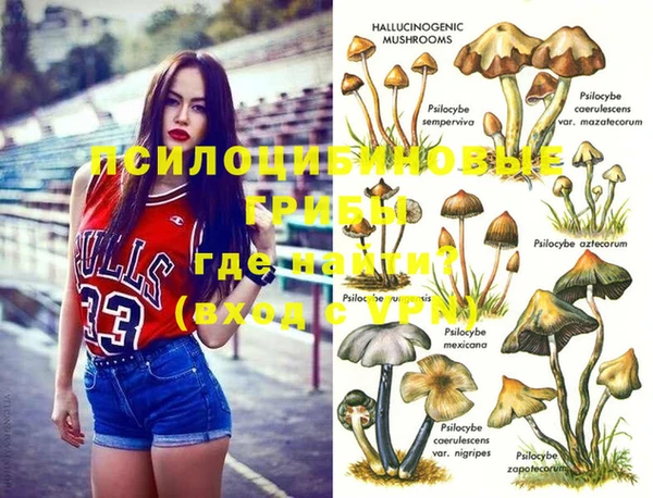 СК Нея